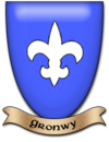 Arms-gronwy.png